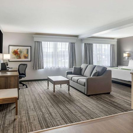 Quality Inn & Suites Amsterdam Fredericton Ngoại thất bức ảnh