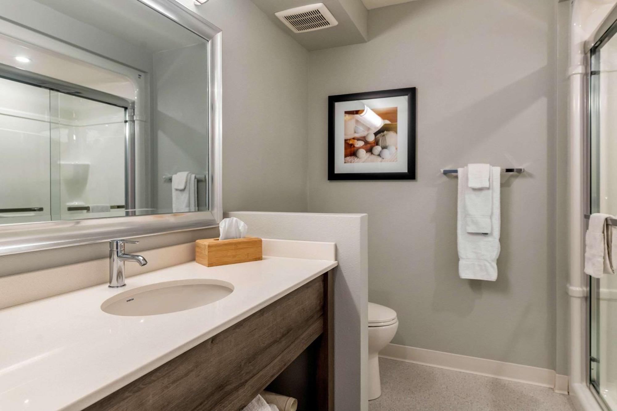 Quality Inn & Suites Amsterdam Fredericton Ngoại thất bức ảnh