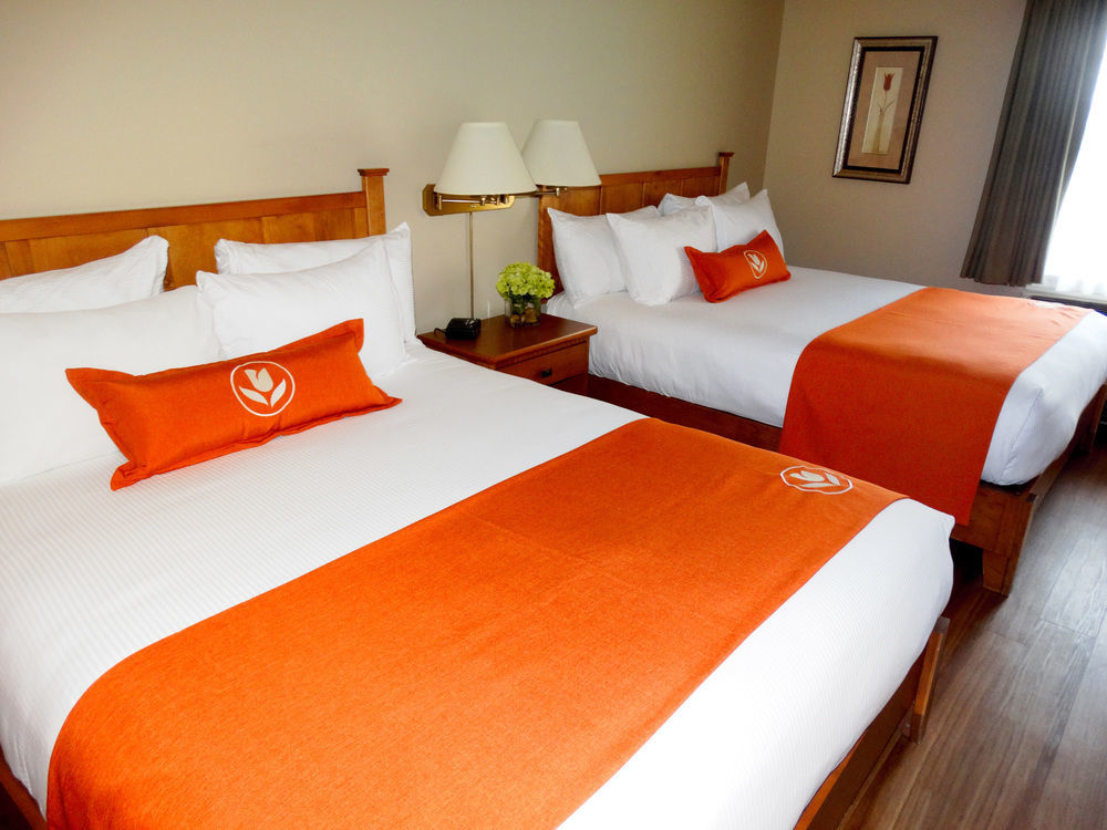 Quality Inn & Suites Amsterdam Fredericton Ngoại thất bức ảnh