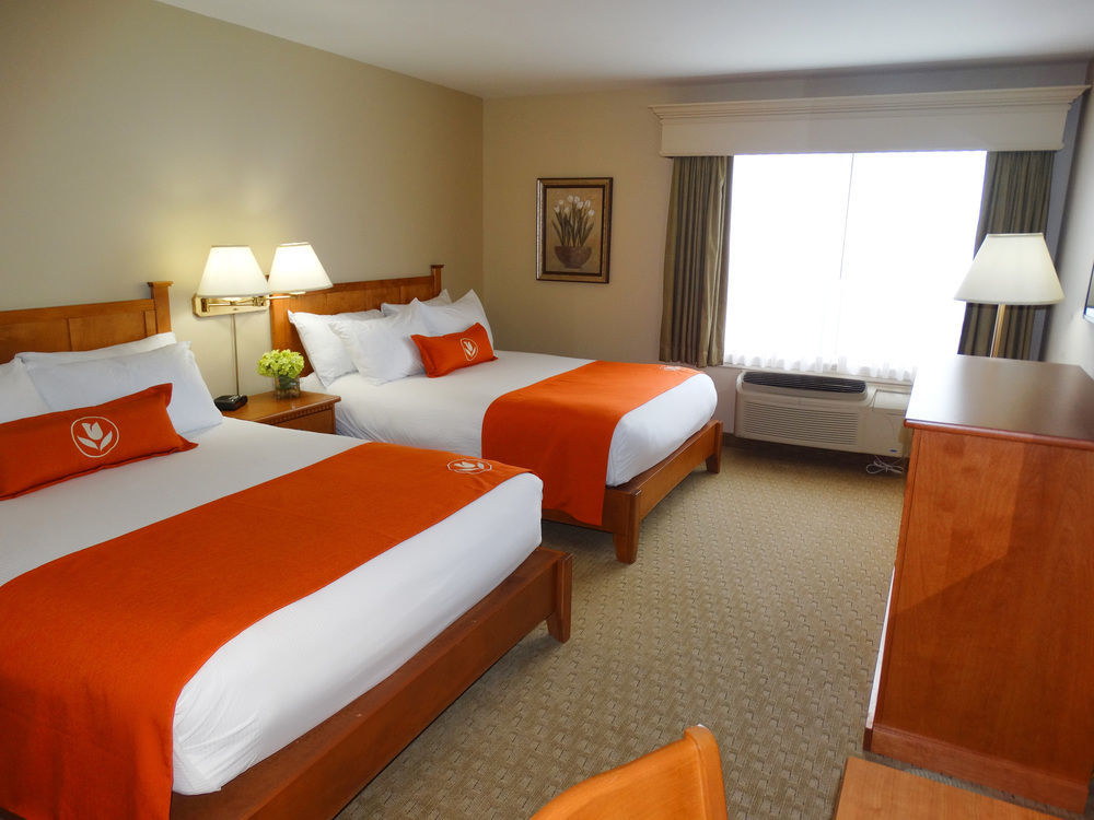 Quality Inn & Suites Amsterdam Fredericton Ngoại thất bức ảnh