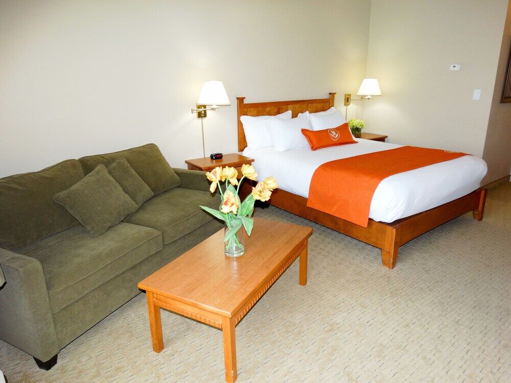 Quality Inn & Suites Amsterdam Fredericton Ngoại thất bức ảnh